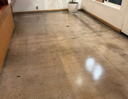 WhatsApp Image 2026-03-05 at 3.35.20 PM (1)